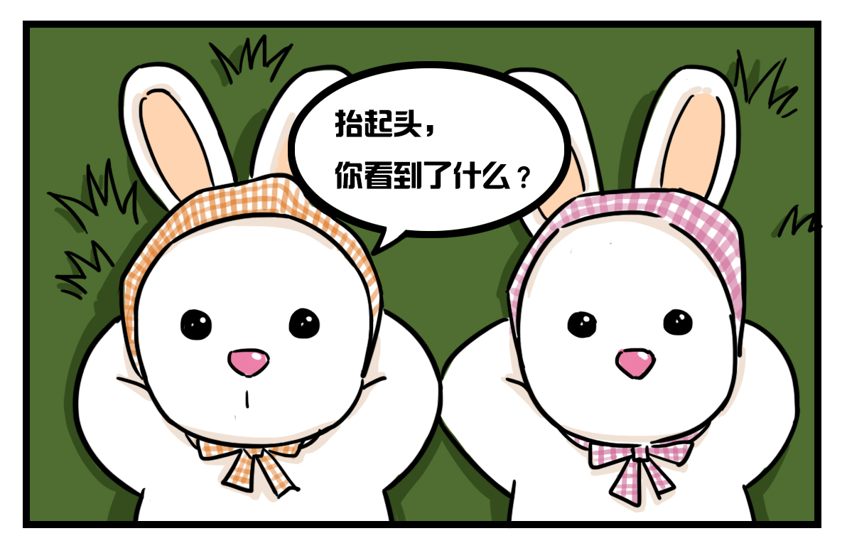 花篮兔美儿