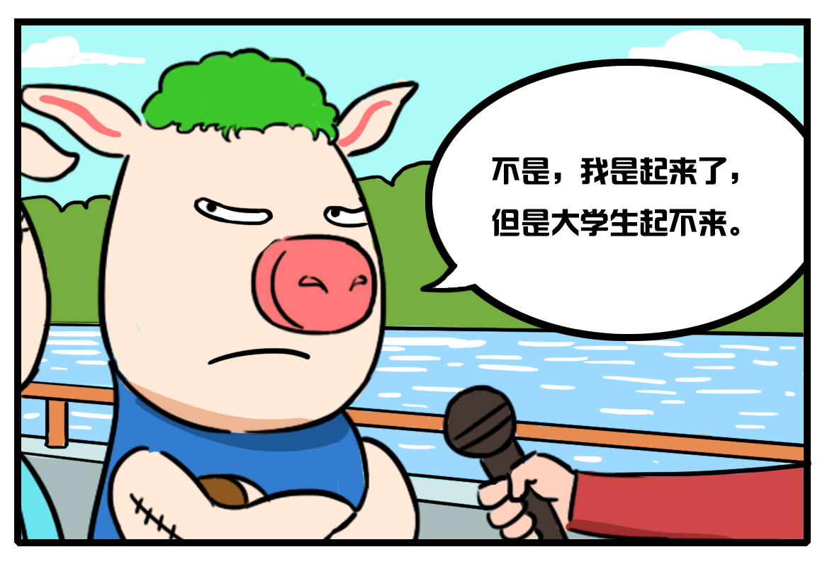 绿毛猪